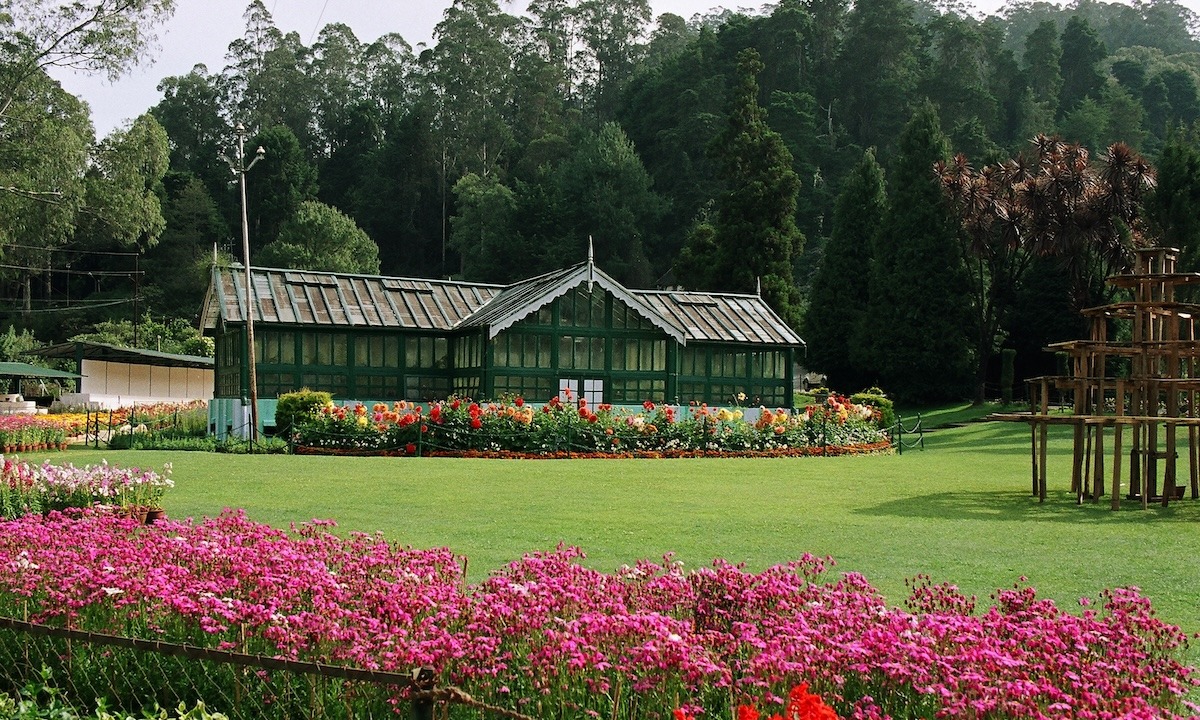 印度泰米尔纳德邦奥蒂植物园
