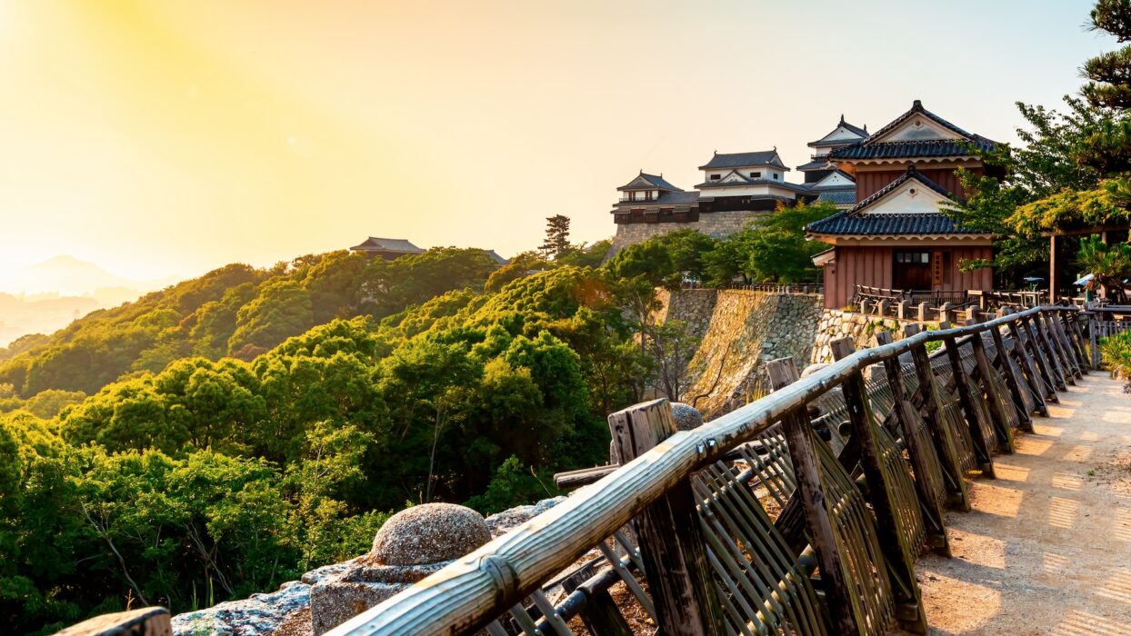 浸泡在传统中松山的最佳旅馆 background image