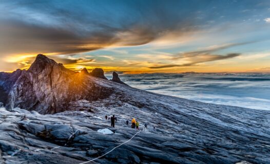 Wunder der Artenvielfalt erforschen: Eine Reise durch den Kinabalu-Nationalpark, Malaysia