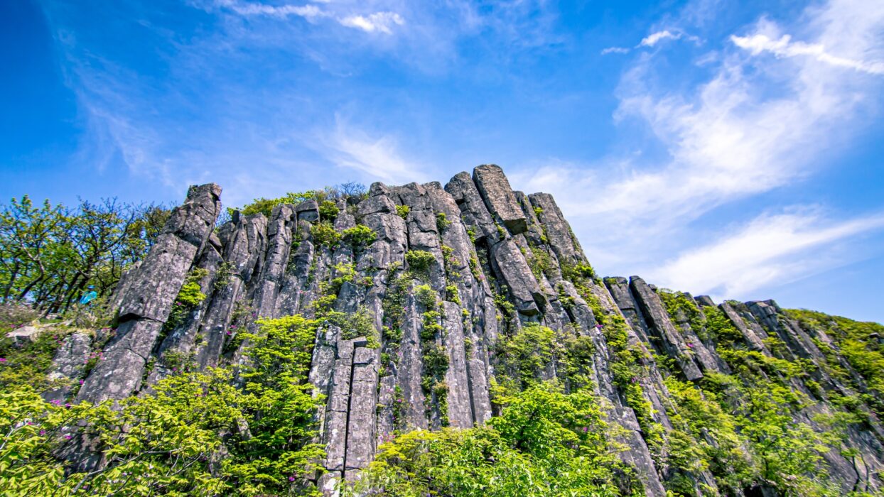 Zhangjiajie Adventure: Explore the Glass Bridge & Avatar Mountain background image