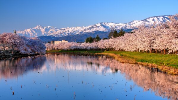 Ra mắt Niigata: Hướng dẫn toàn diện về nơi ở và việc cần làm