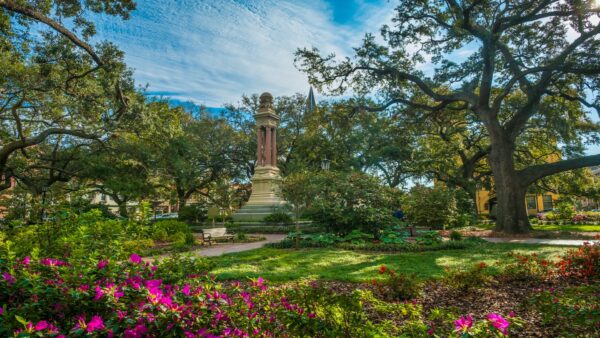 Vẻ đẹp mùa xuân lộng lẫy ở Savannah: Mùa hoa nở và lễ hội