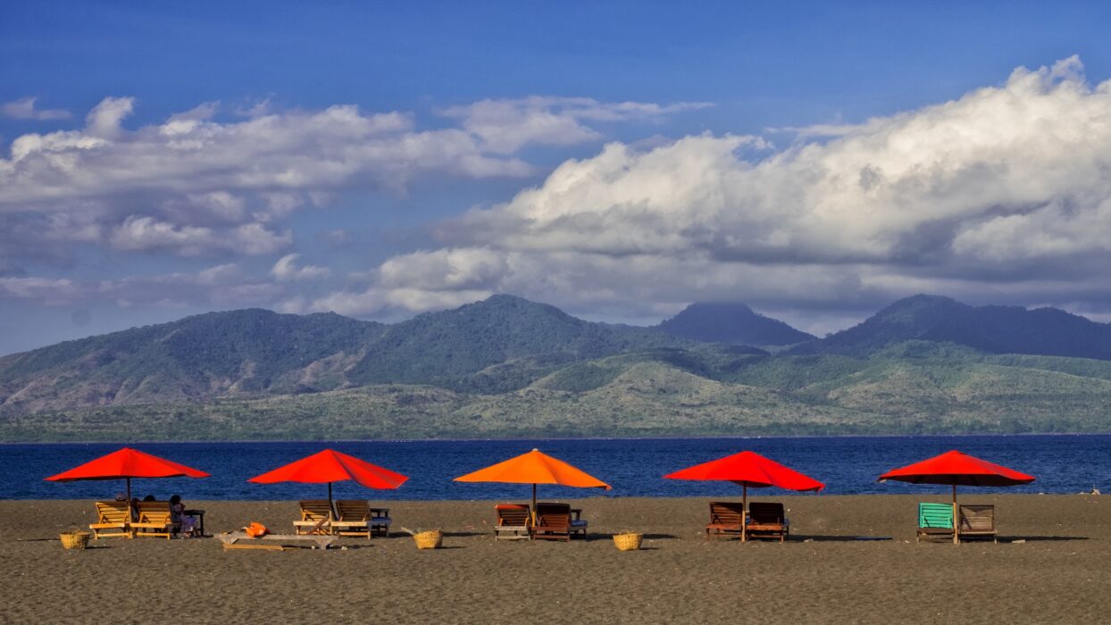 Retraites écologiques à Banyuwangi : Les meilleurs séjours durables pour les voyageurs conscients background image