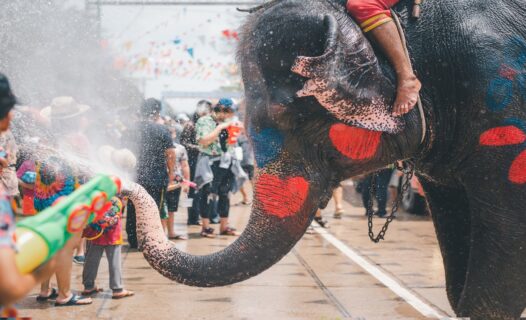 Experiencing Songkran Festival 2024: A Complete Guide to Thailand's Water Festival image