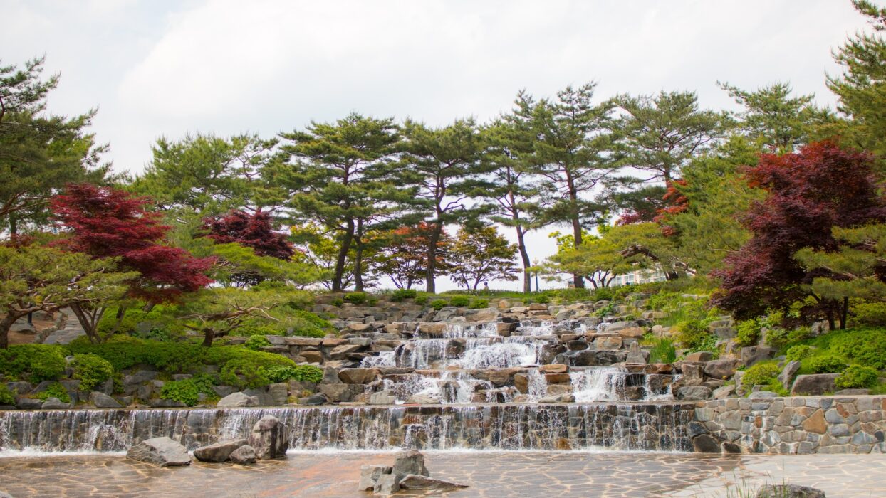 Khám phá vẻ đẹp lộng lẫy tự nhiên của Ulsan: Hướng dẫn du lịch toàn diện background image