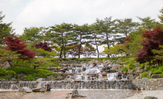探索蔚山：韓國工業巨頭熱門景點活動
