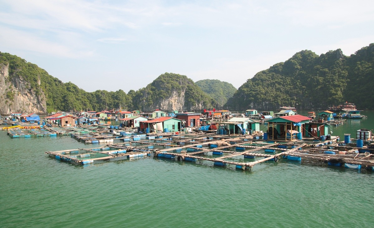 Floating village Cat Ba, Ha Long Bay, Vietnam