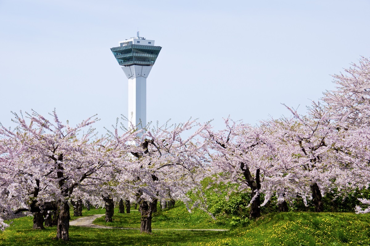 Frühling in Hakodate
