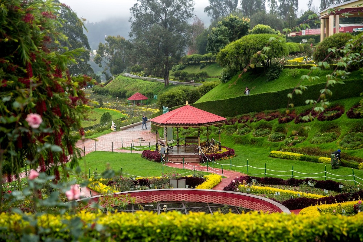 حديقة الورود الحكومية، أوتي، تاميل نادو، الهند