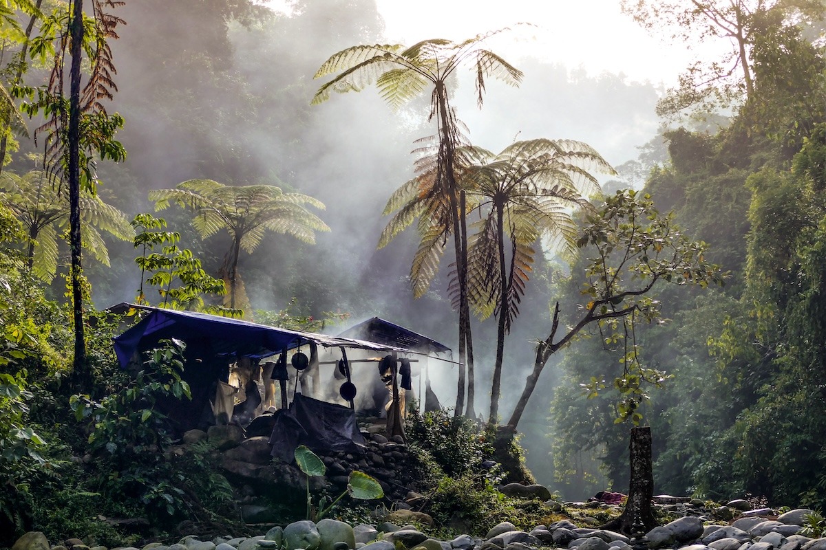 Parc national de Gunung Leuser, Medan, Indonésie