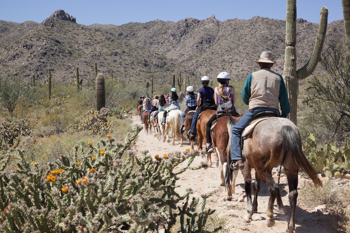 Menunggang kuda di Gurun Sonoran di luar Phoenix, Arizona, Amerika Syarikat
