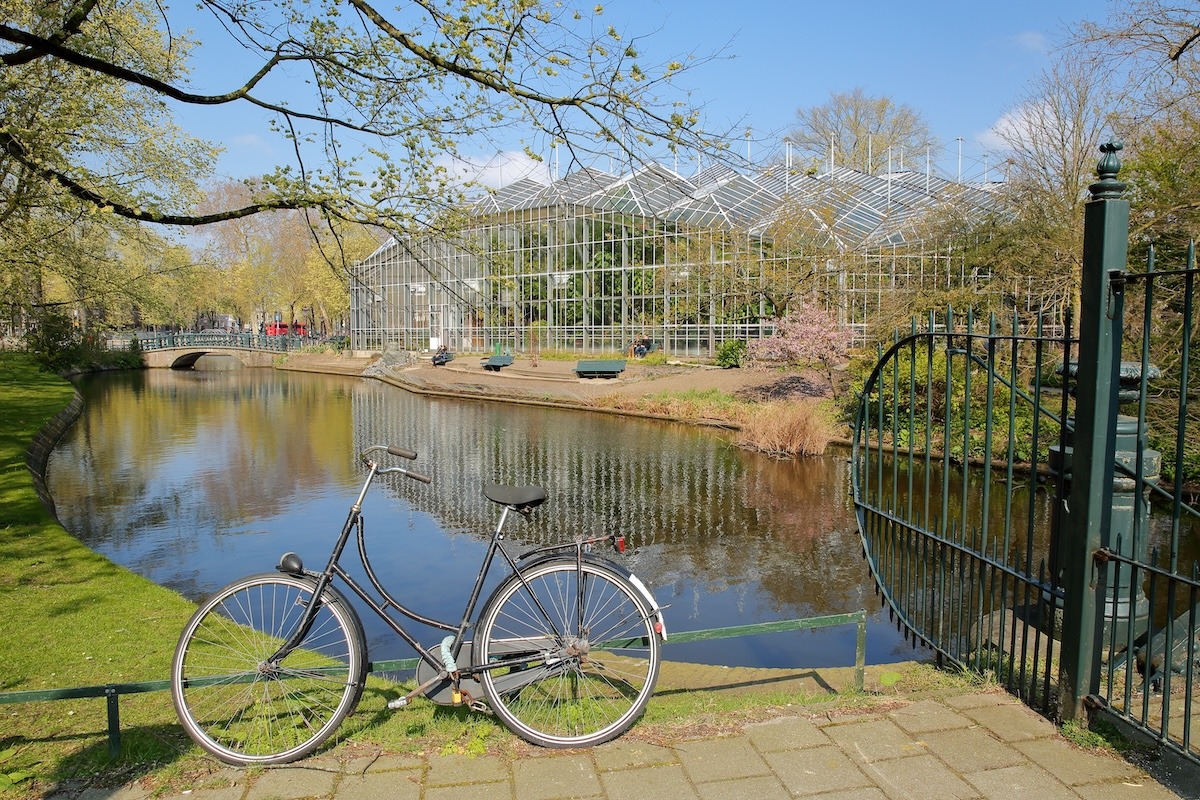 植物園，阿姆斯特丹，荷蘭。
