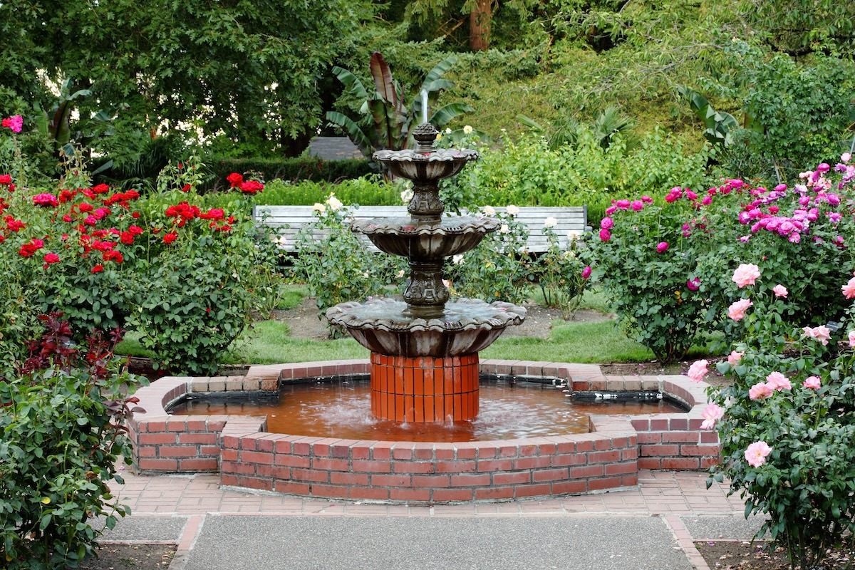 Internationaler Rosen-Testgarten, Portland, Oregon, USA