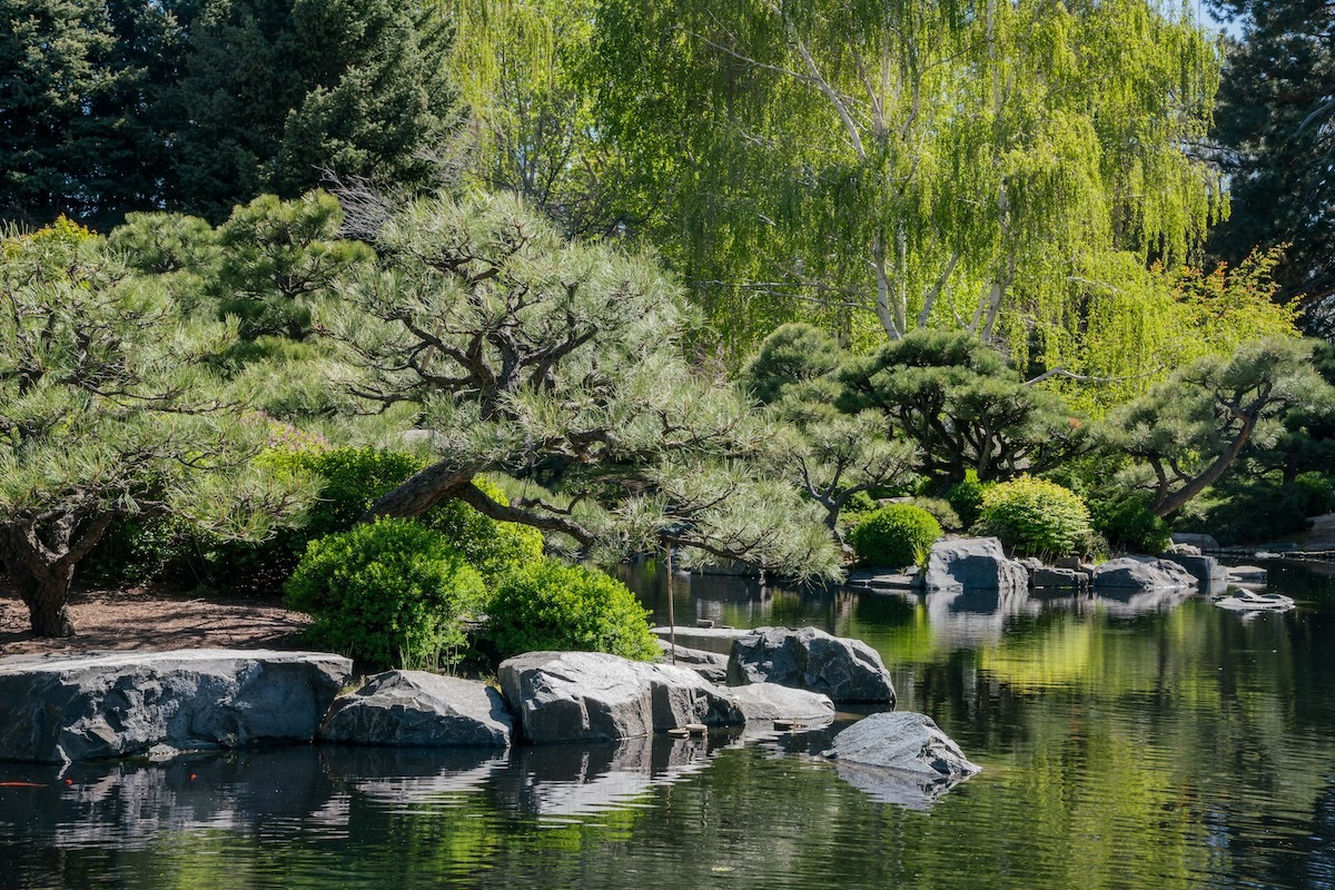 Japanischer Garten, Denver Botanic Gardens, CO, USA