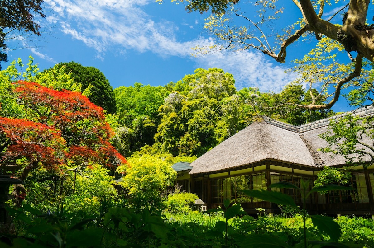 조치지 사원, 가마쿠라, 일본