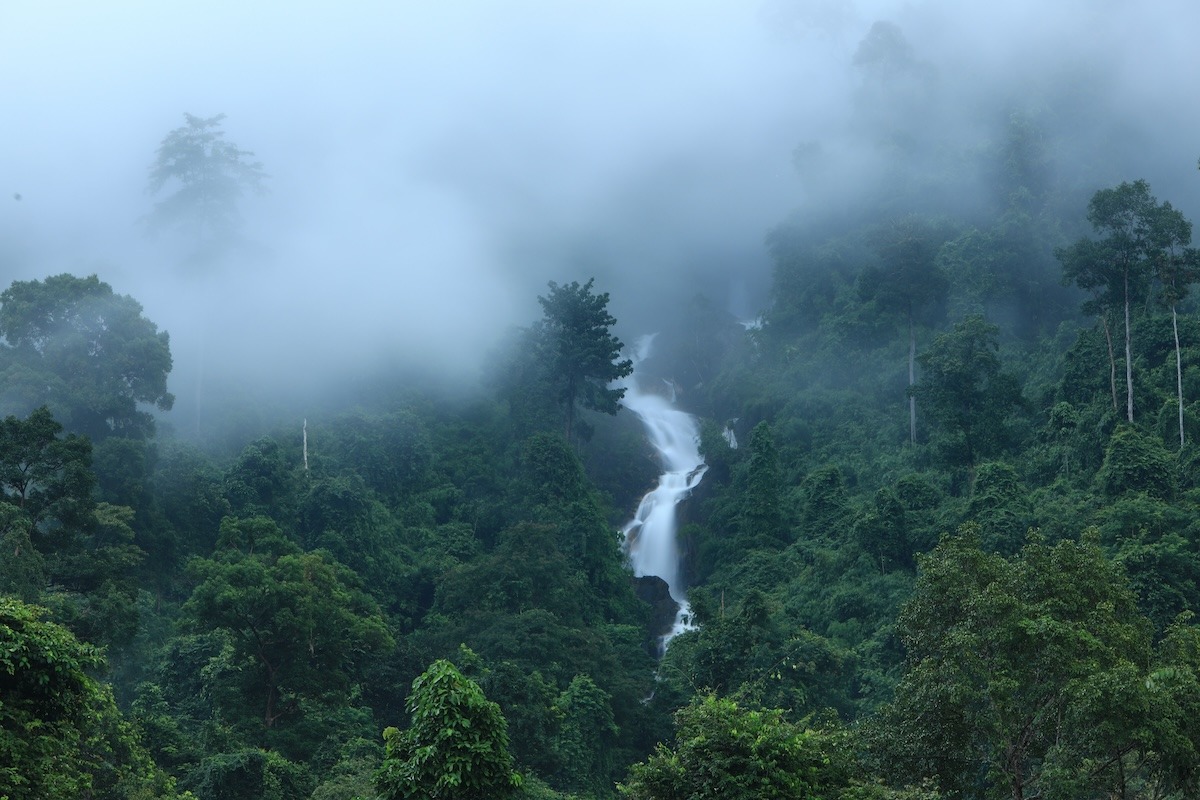 Parc national de Khao Kitchakoot, Chanthaburi, Thaïlande