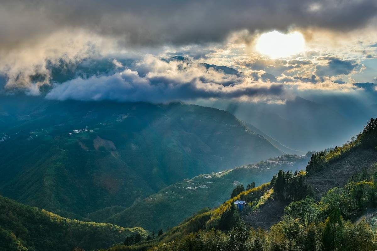 臺灣桃園拉拉山