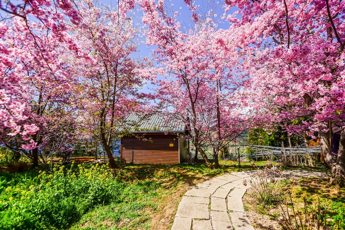 랄라산(라라산), 타오위안, 대만