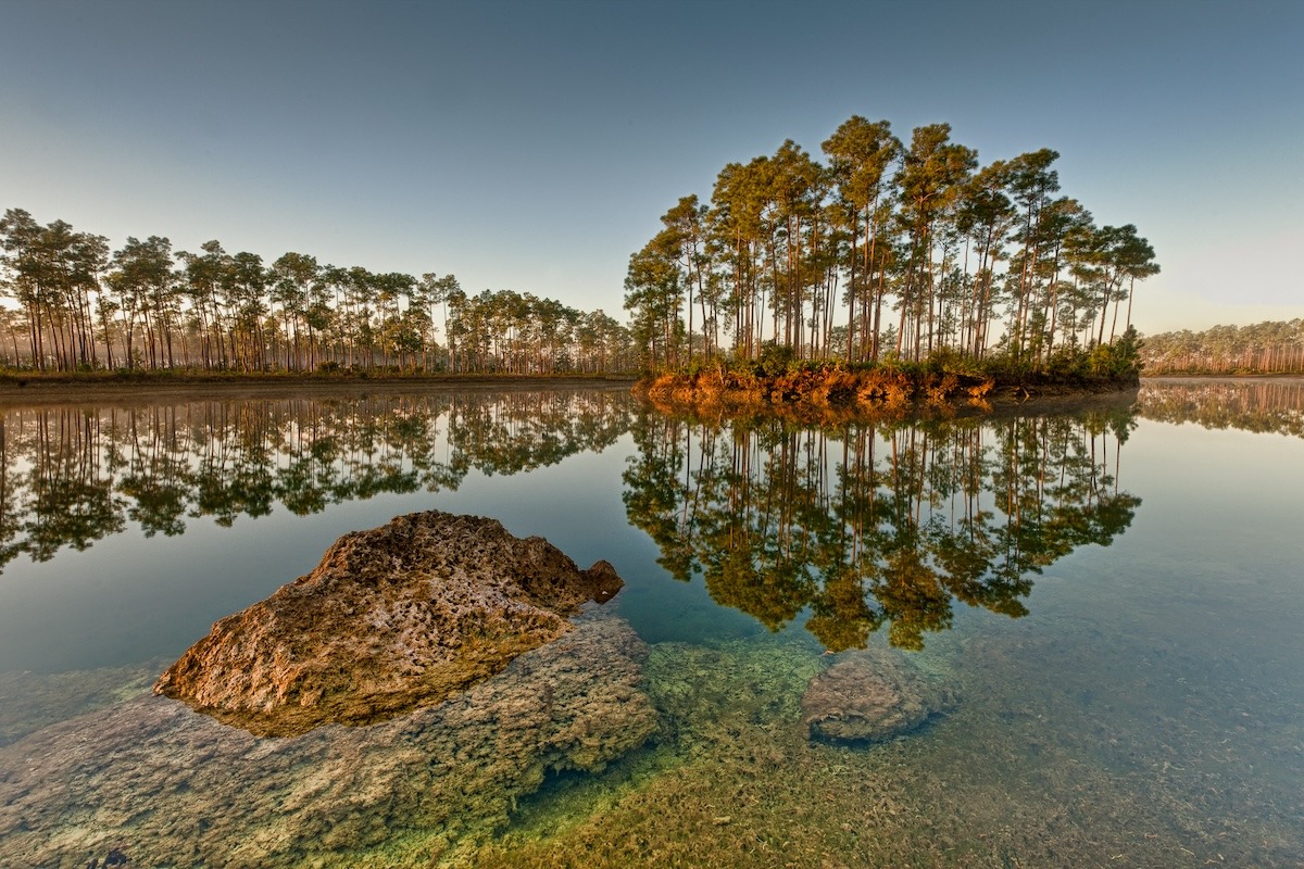 アメリカ・フロリダ州ホームステッド近郊、エバーグレーズ国立公園のロングパインキー湖