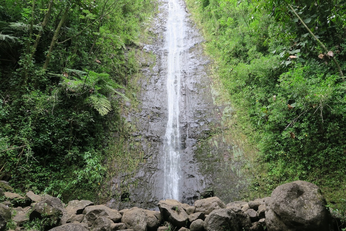 馬諾阿瀑佈在檀香山，歐胡島，夏威夷