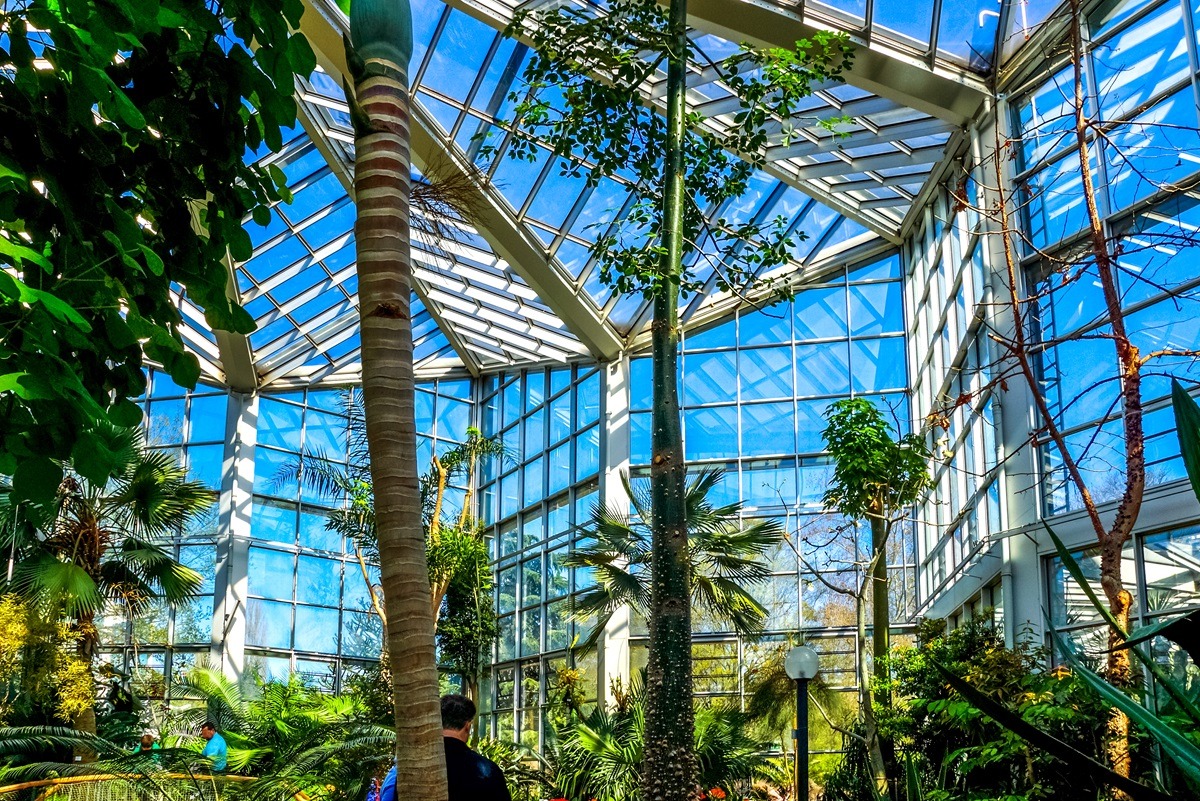 Palmengarten in Frankfurt am Main