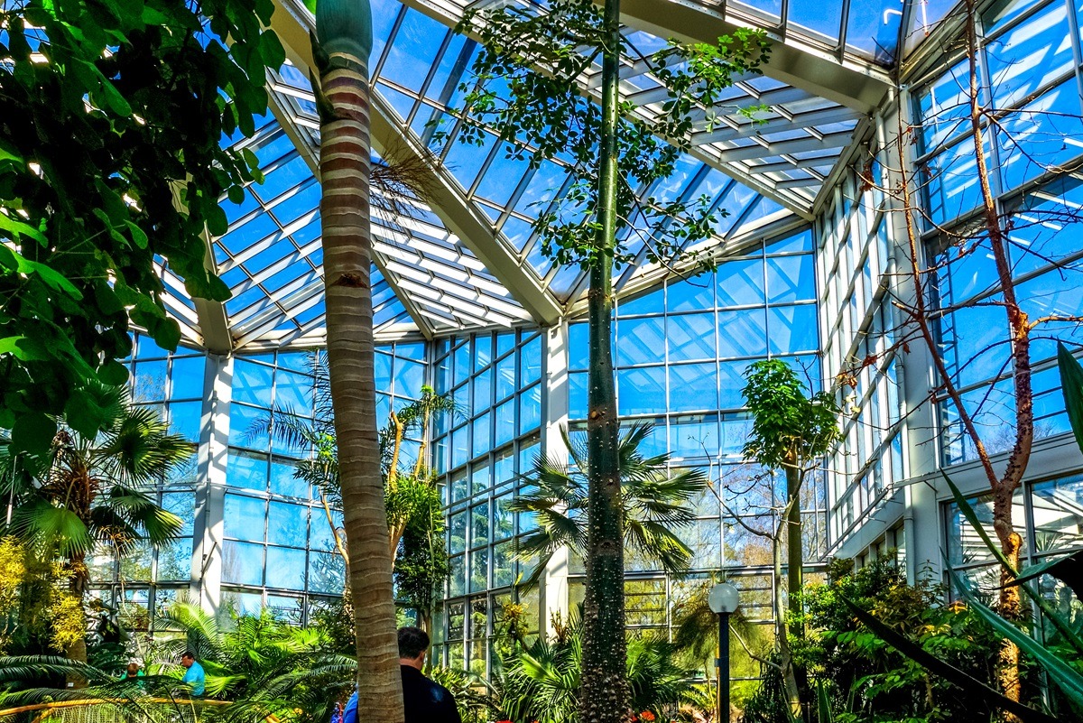 Vườn cọ Palmengarten ở Frankfurt am Main