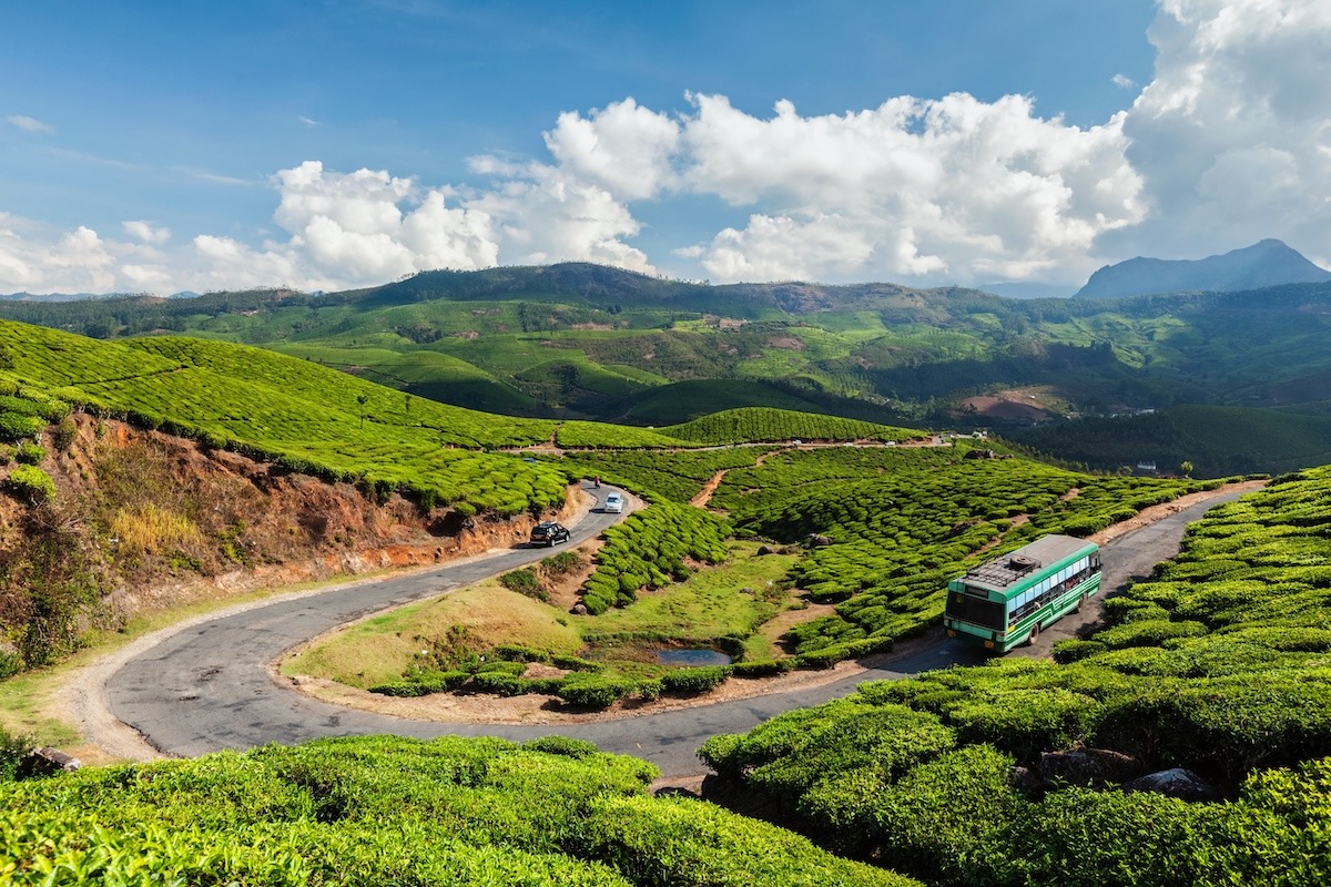 インド、ケララ州ムンナール、茶畑の道路を走る旅客バス