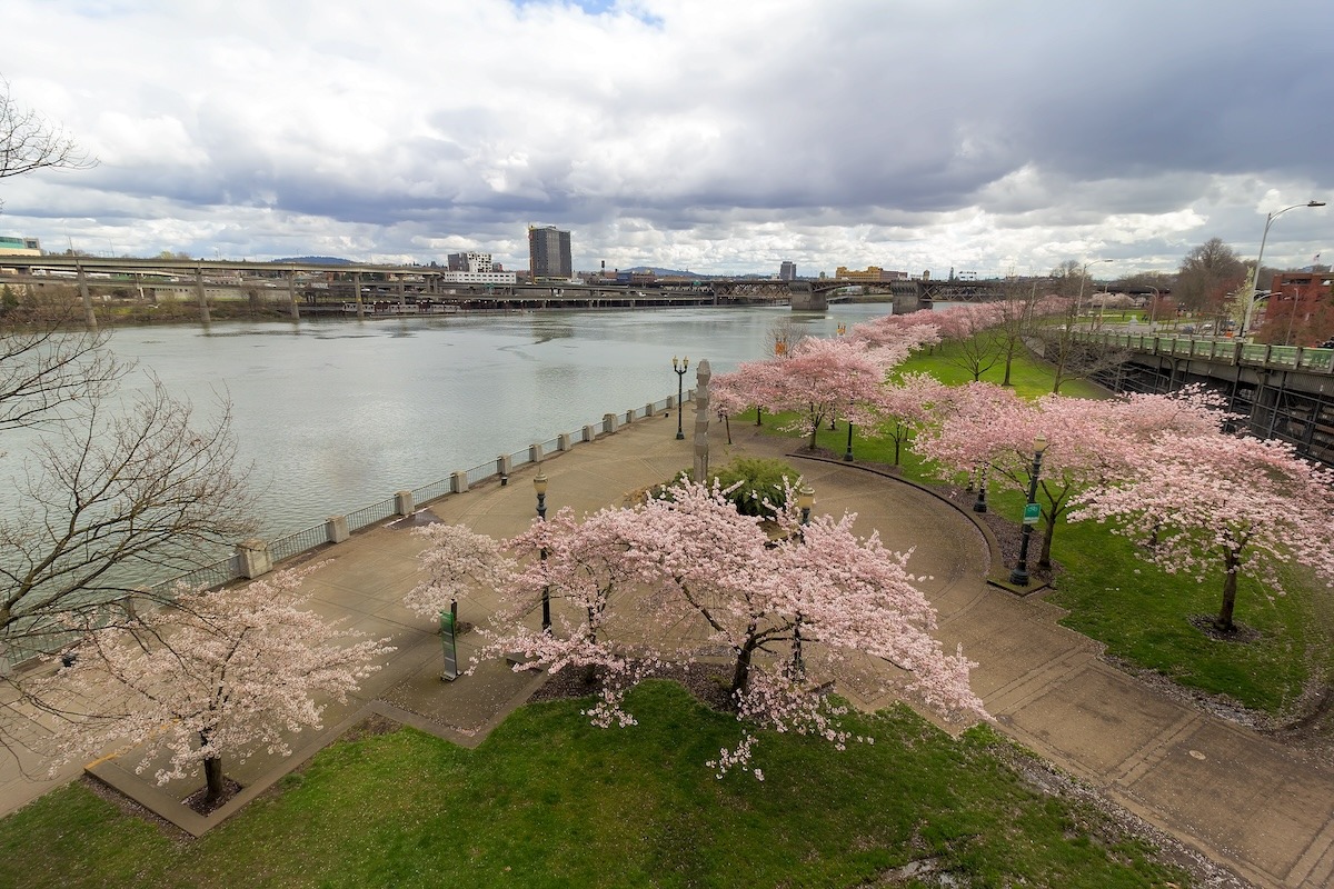 Portland Waterfront in der Frühlingssaison, USA