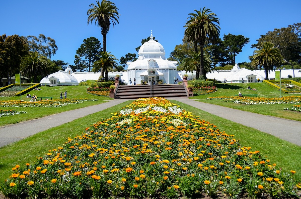 สวนพฤกษศาสตร์ซานฟรานซิสโก แคลิฟอร์เนีย สหรัฐอเมริกา