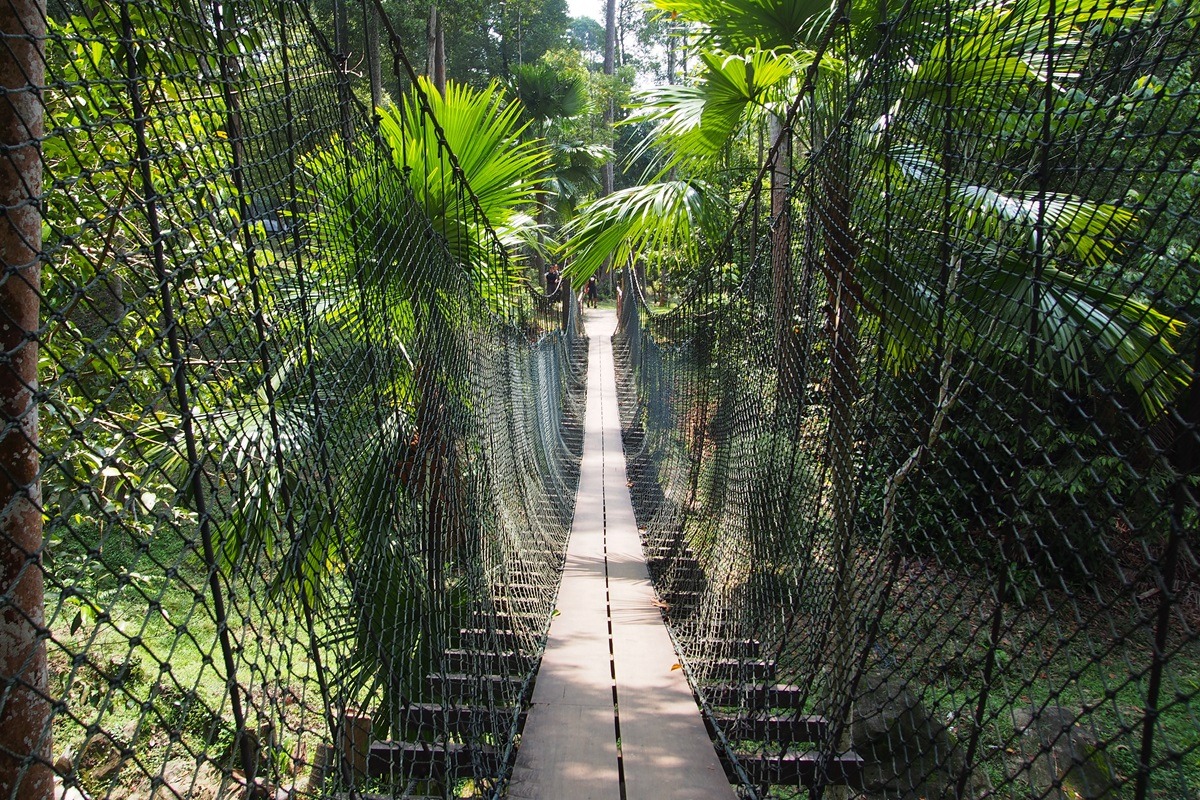 位於沙阿南的國家植物園