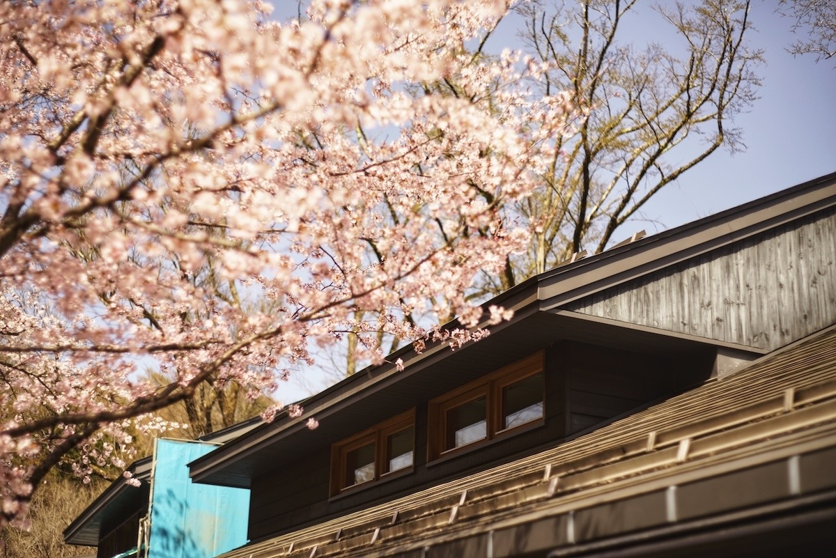 Musim semi, Karuizawa, Jepang