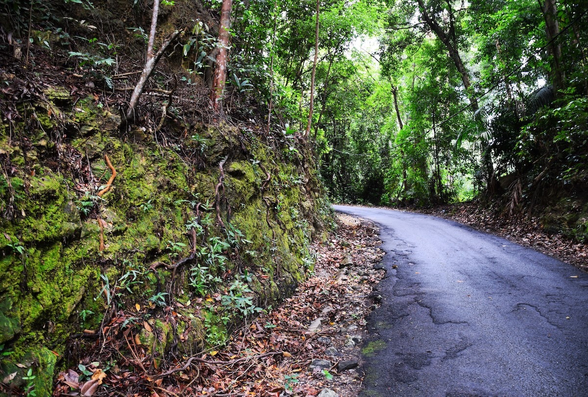 Hutan Simpan Tanjung Tuan, Port Dickson, Malaysia