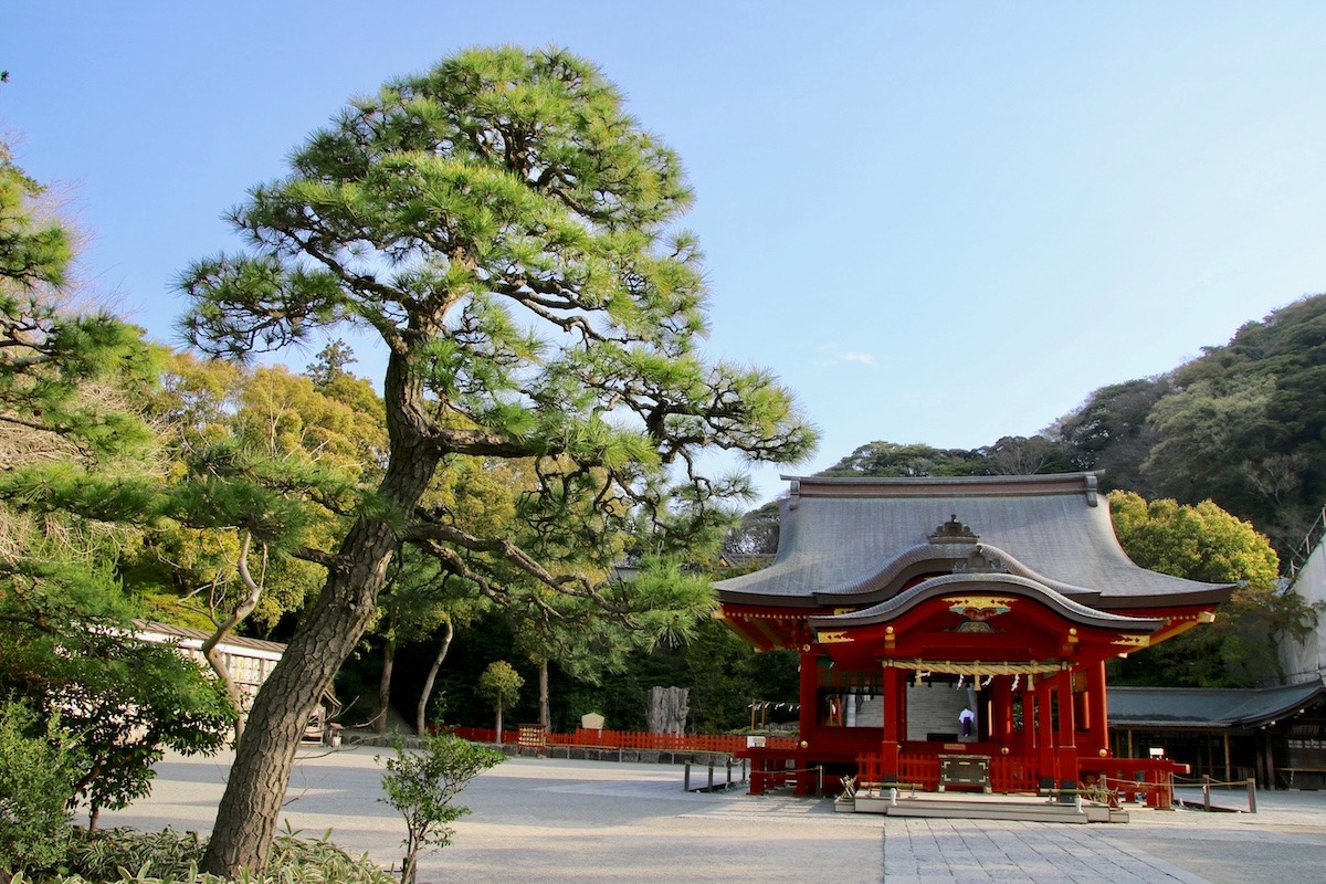 日本鎌倉鶴岡八幡町神社