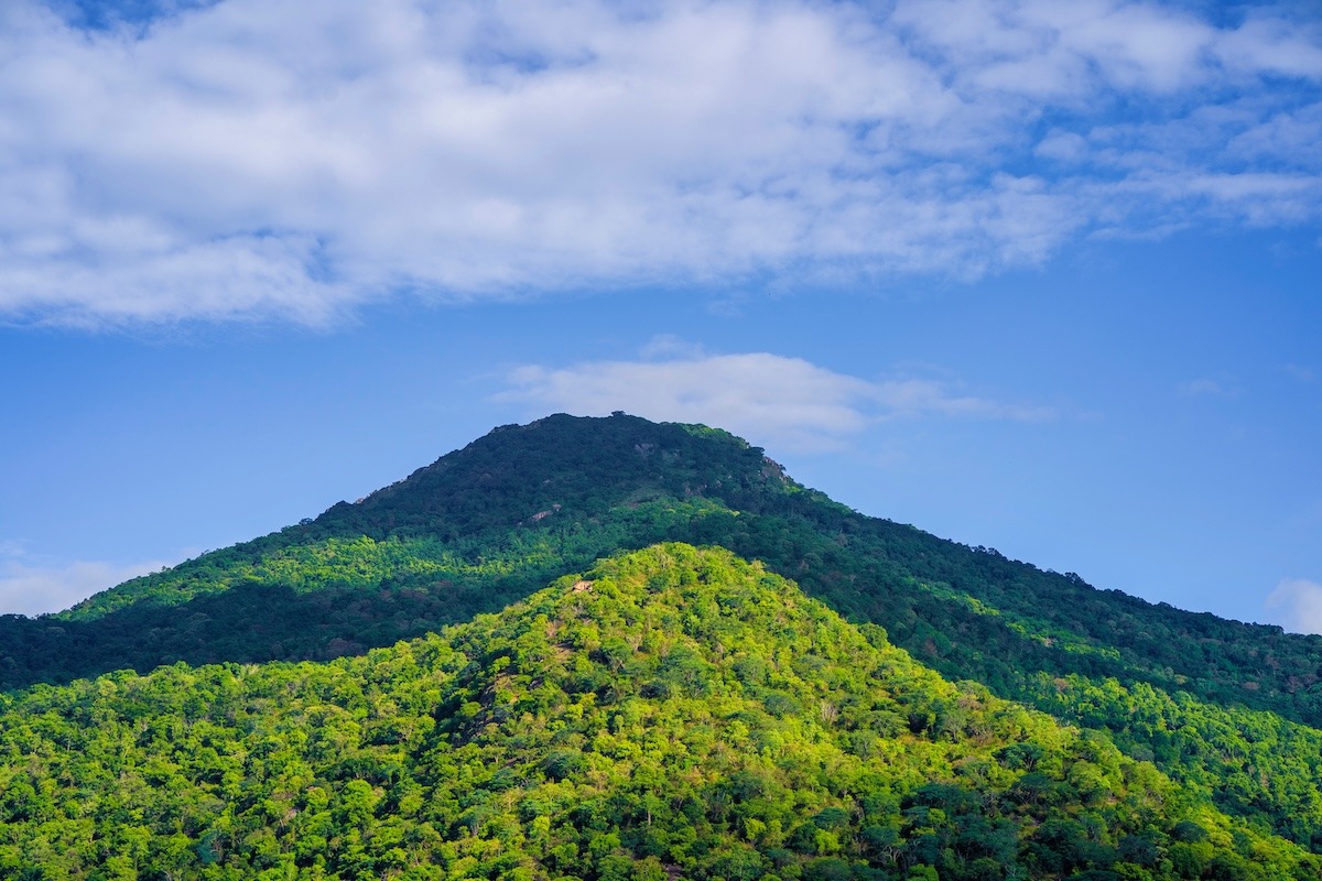 Montagnes de Velliangiri, district de Coimbatore, Tamil Nadu, Inde