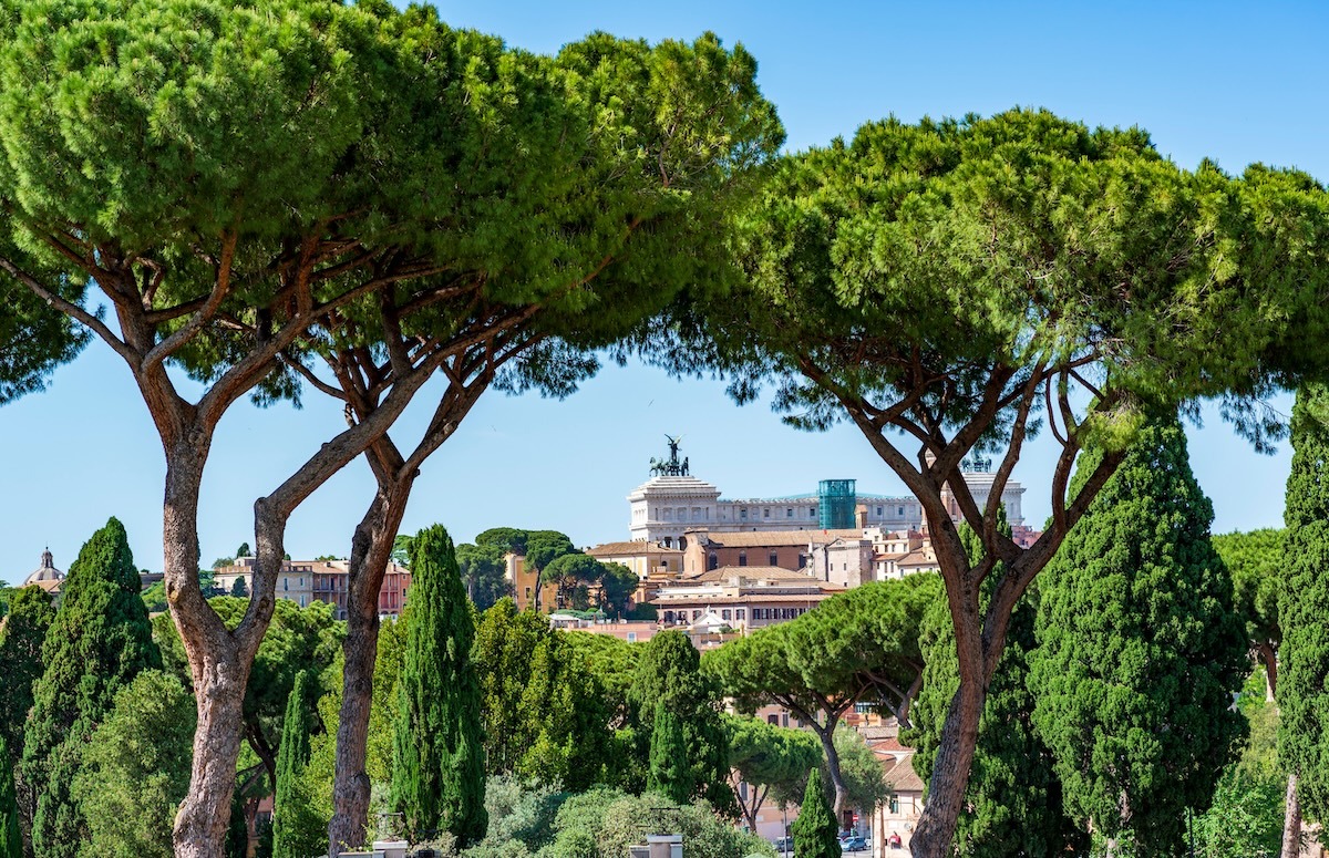 Blick auf das Denkmal von Vittorio Emanuele II. vom Roseto Comunale in Rom, Italien
