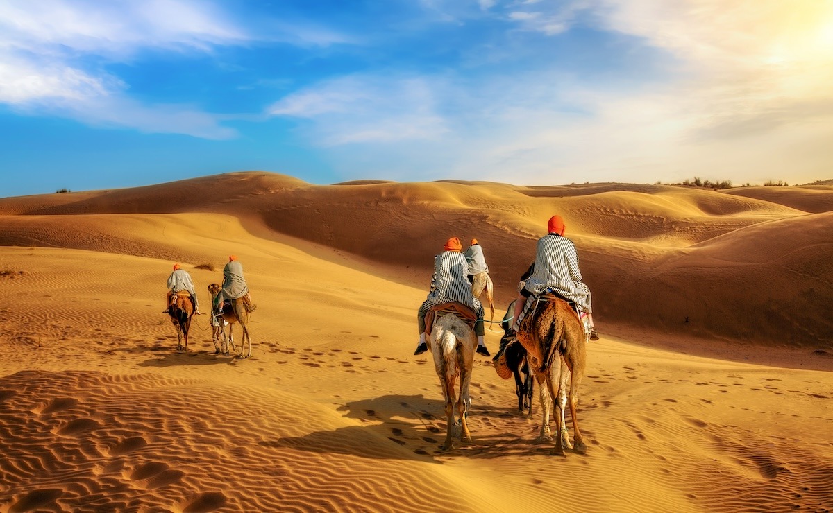 인도 자이살메르 타르 사막의 낙타 캐러밴