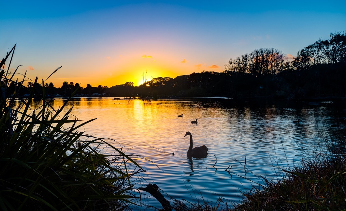 Centennial Park in Sydney, Australien