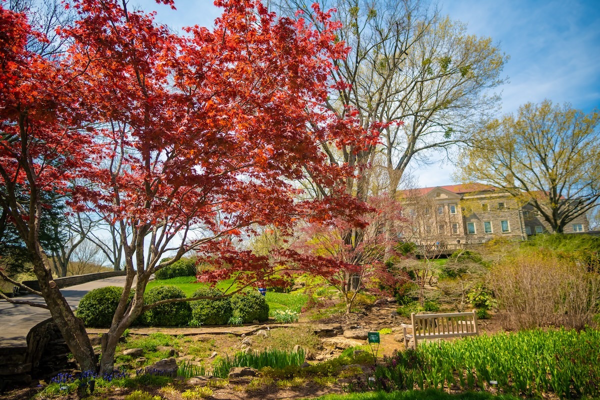 Cheekwood Botanischer Garten, Nashville, TN, USA