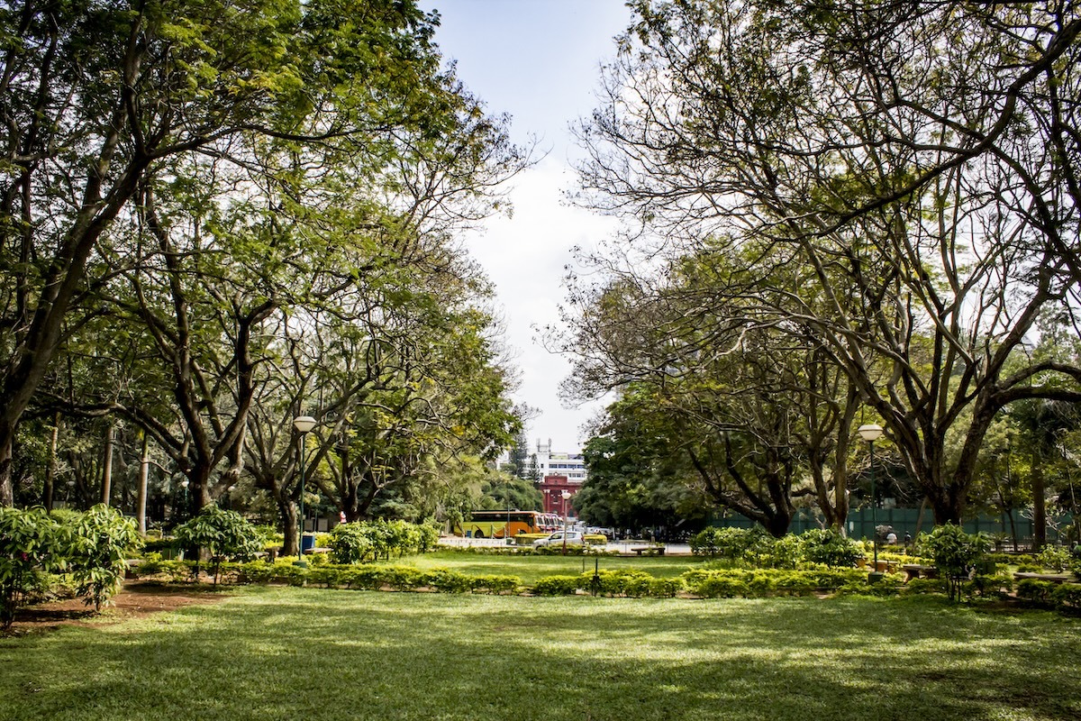 Cubbon Park, Bangalore, India Cubbon Park, Bangalore, India