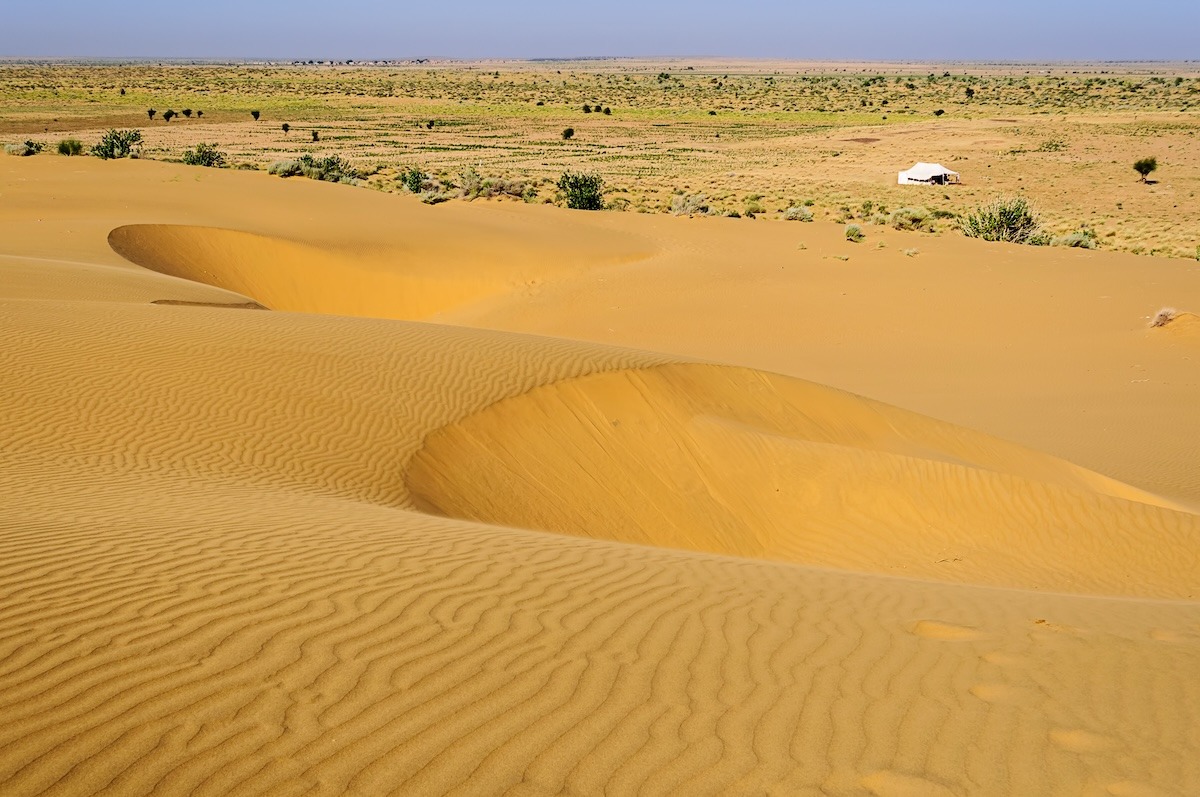 인도 타르 사막의 사막 국립공원