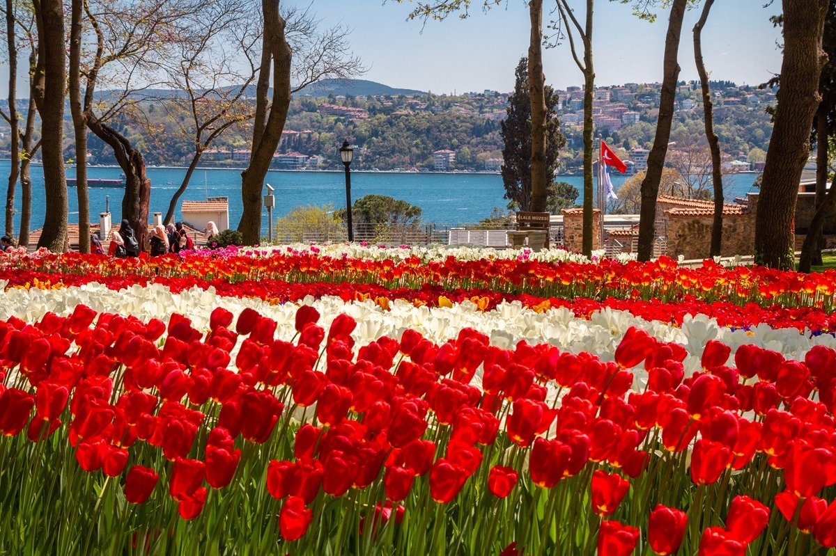 Parc Emirgan à Istanbul, Turquie