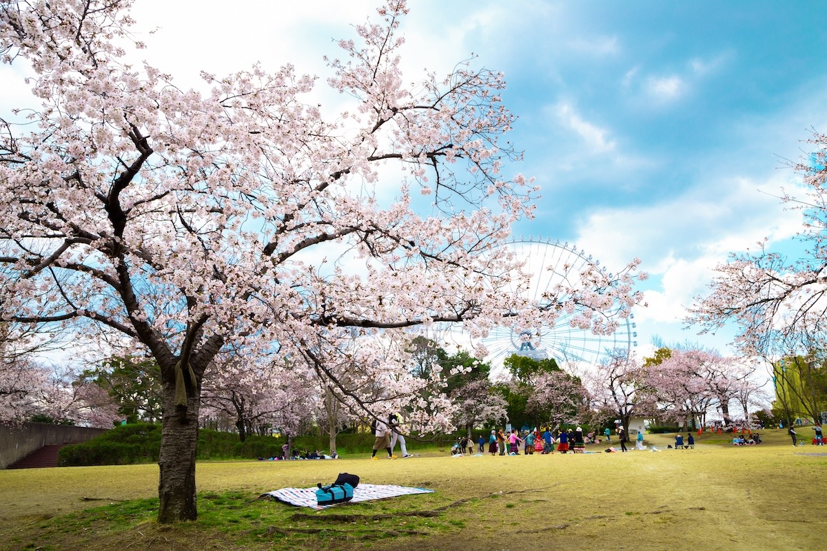 일본 오사카의 엑스포 '70 기념 공원