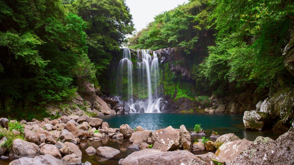 奢華與大自然的邂逅:濟州島的頂級飯店體驗 background image