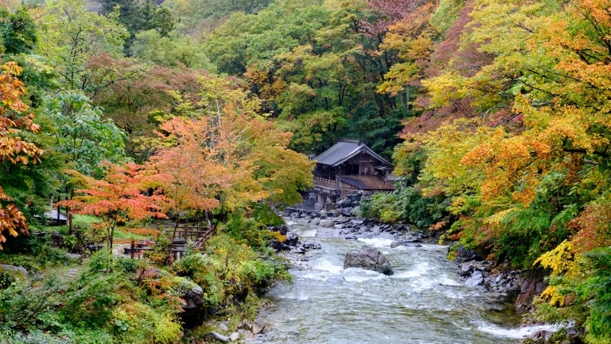 Nikko Ryokan: Perjalanan Berpandu ke Hospitaliti Tradisional Jepun background image