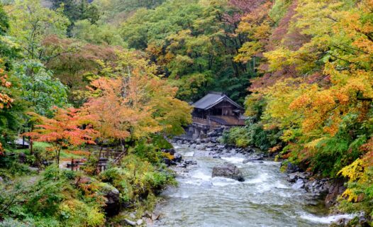 the best time to travel to korea