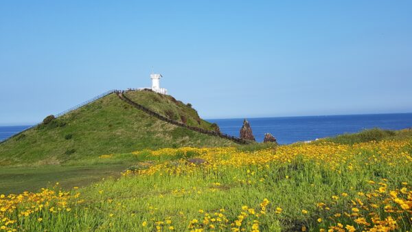 Willkommen auf der Insel Jeju: Eine 7-tägige Route der Wunder