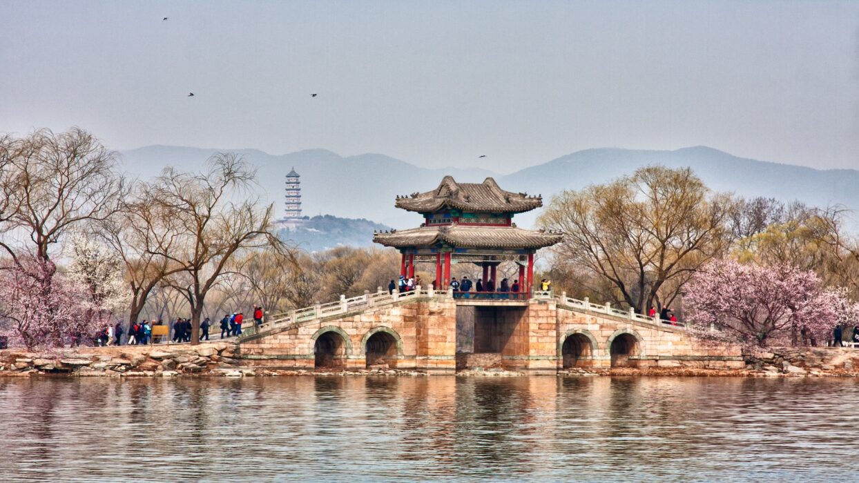 Kỷ niệm Lễ hội Thanh Minh 2024 tại Bắc Kinh: Hành trình di sản văn hóa giữa  hoa anh đào » Agoda: See The World For Less