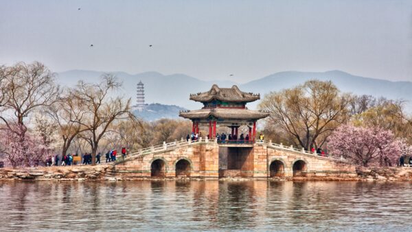 北京で2024年の清明節を祝う：桜に彩られた文化遺産の旅