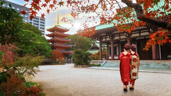 Enthüllung von Fukuokas luxuriösem Komfort: Eine Reise zu erstklassigen Unterkünften