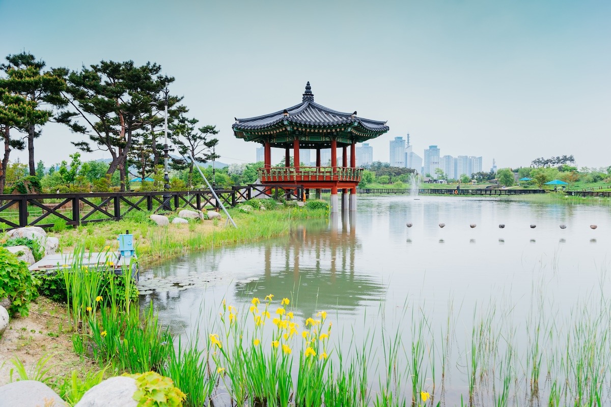 สวนรุกขชาติ Hanbat ในเมืองแทจอน ประเทศเกาหลีใต้